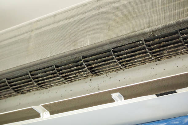 Best Dryer Vent Cleaning Services  in Gramercy, LA